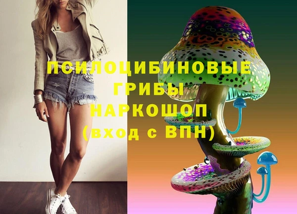 МДПВ Вяземский